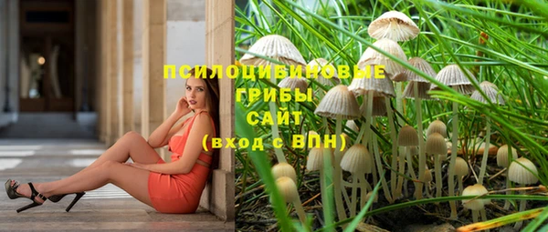 меф Пересвет