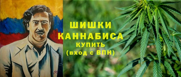 ПСИЛОЦИБИНОВЫЕ ГРИБЫ Пестово