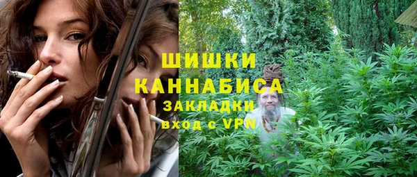 ПСИЛОЦИБИНОВЫЕ ГРИБЫ Пестово